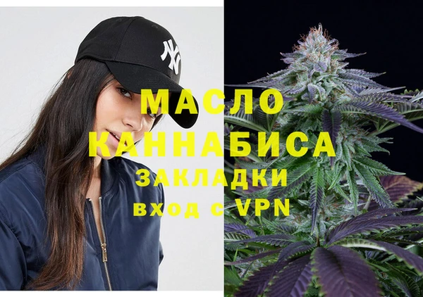 индика Тында